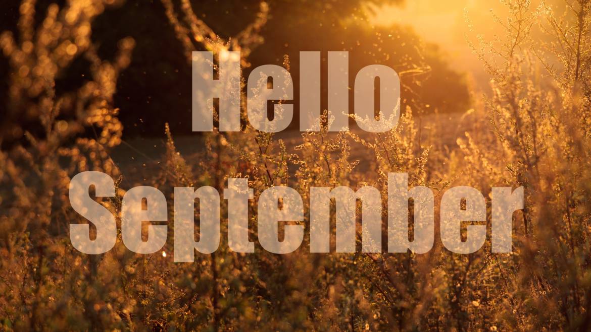 Aanbieding camping maand September en/of Oktober